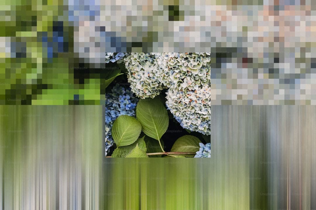 晋江:跟着水上救生员 感触“水火两重天”